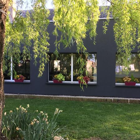 Agathe Et Titi Bed & Breakfast Marigny-les-Reullee ภายนอก รูปภาพ